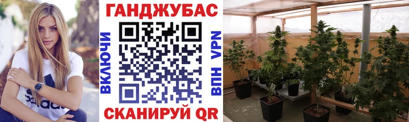 Хочу наркоту Лермонтов СОЛЬ  КОКАИН  ГАШИШ  Галлюциногенные грибы  Марихуана 
