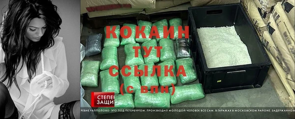 а пвп мука Алзамай