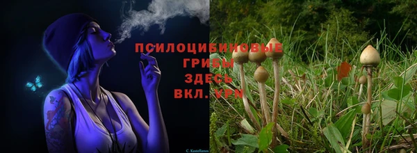 кокаин перу Алексин