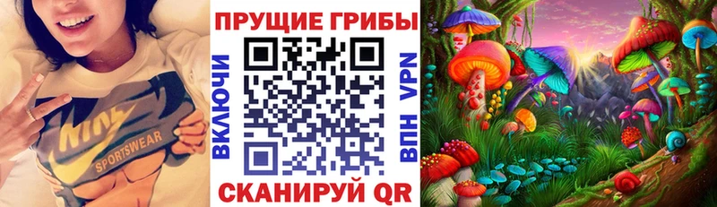 купить наркотики цена Лермонтов Галлюциногенные грибы Psilocybine cubensis